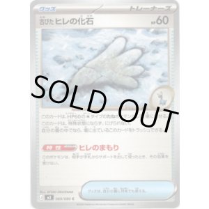 画像: 古びたヒレの化石