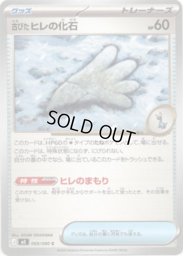 画像1: 古びたヒレの化石