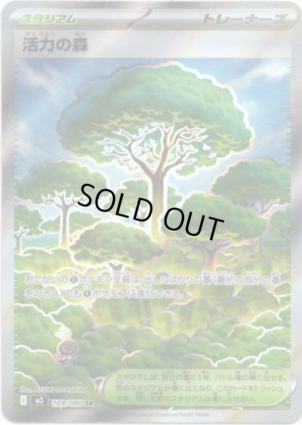 画像1: 【トレーナーズSR】活力の森