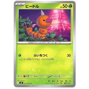 画像: ビードル