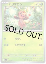 画像: ハリマロン