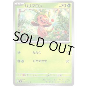 画像: ハリマロン