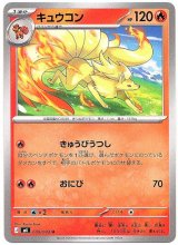 画像: キュウコン