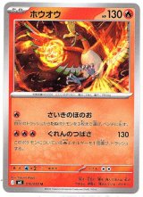 画像: ホウオウ