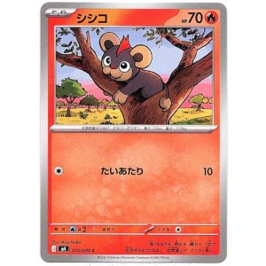 画像: シシコ