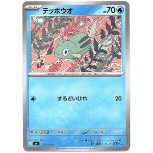 画像: テッポウオ