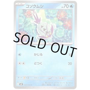 画像: コソクムシ