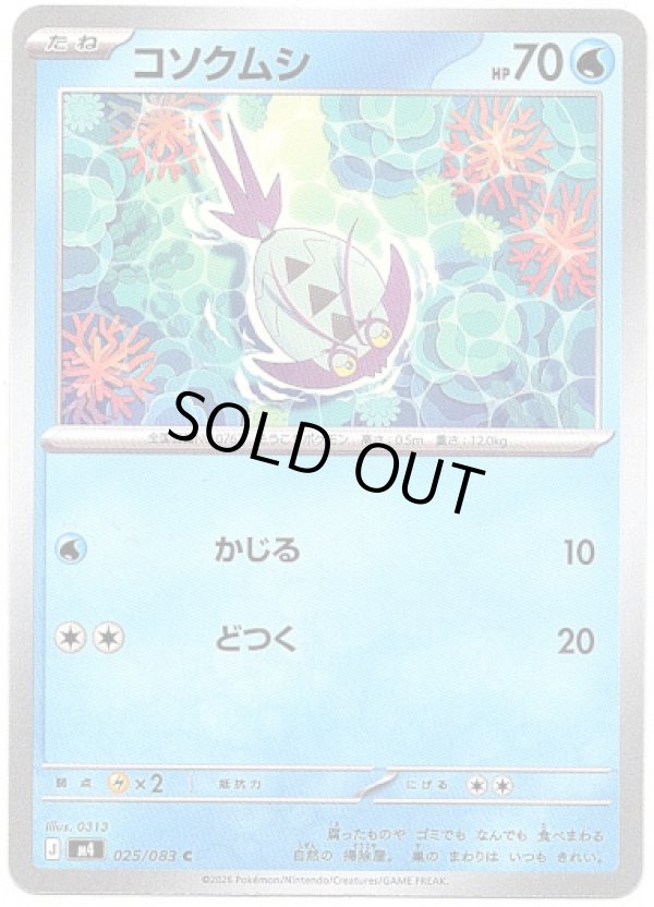 画像1: コソクムシ