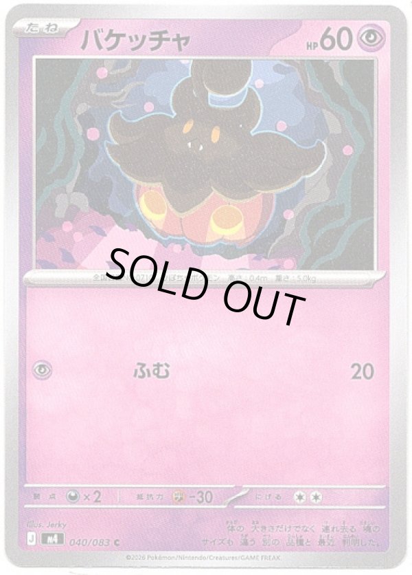 画像1: バケッチャ