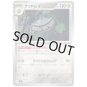 画像: ナットレイ