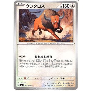 画像: ケンタロス