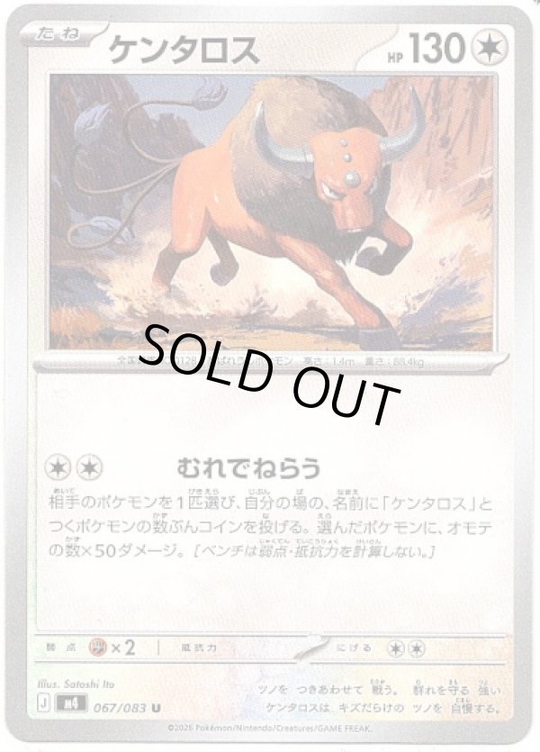 画像1: ケンタロス