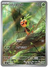 画像: ※傷有り品（返品交換対象外）【AR】ハリマロン