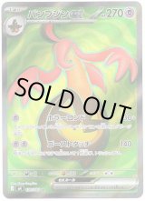 画像: 【SR】パンプジンex