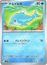 画像: ナミイルカ