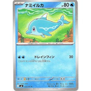画像: ナミイルカ