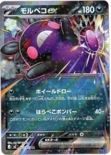 画像: モルペコex