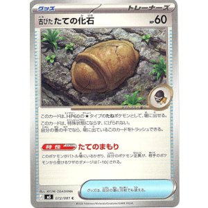 画像: 古びたたての化石