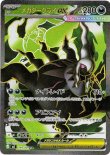 画像1: ※傷有り品（返品交換対象外）【SR】メガダークライex