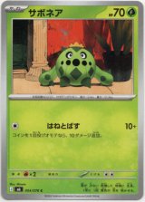 画像: サボネア