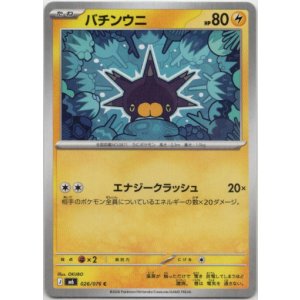 画像: バチンウニ