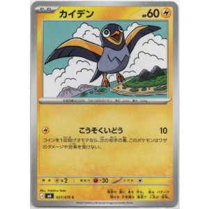 画像: カイデン