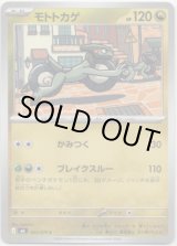 画像: モトトカゲ