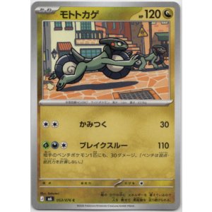 画像: モトトカゲ