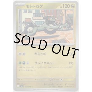 画像: モトトカゲ