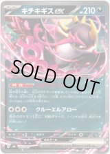 画像: キチキギスex