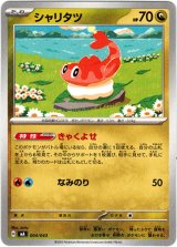 画像: シャリタツ