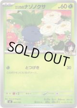 画像: エリカのナゾノクサ