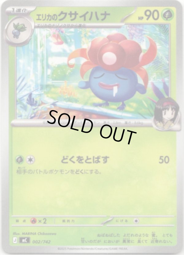 画像1: エリカのクサイハナ