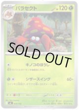 画像: パラセクト