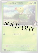 画像: エリカのマダツボミ