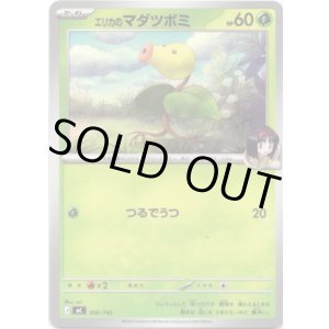 画像: エリカのマダツボミ