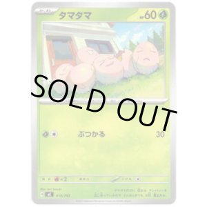 画像: タマタマ