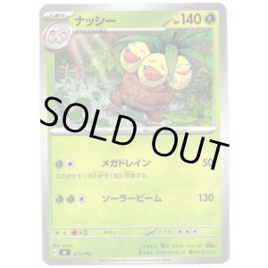 画像: ナッシー