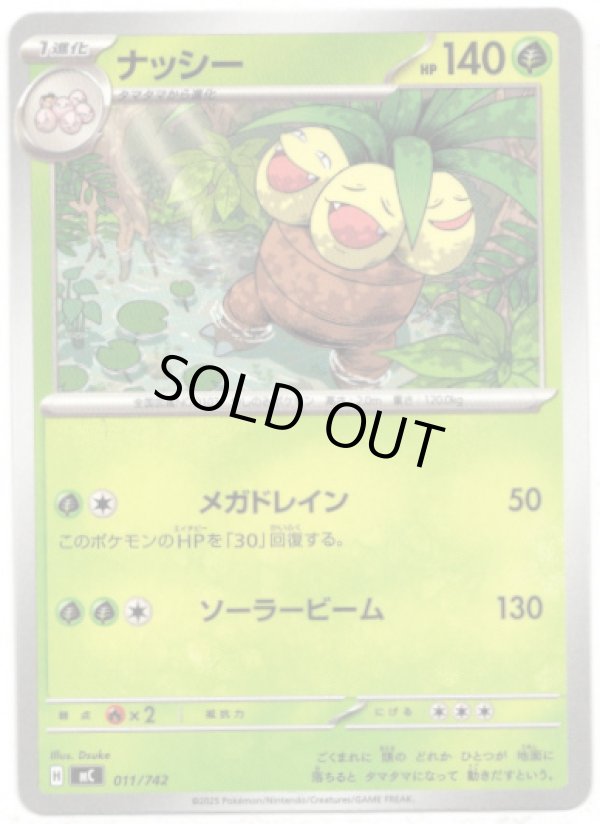 画像1: ナッシー