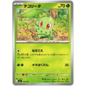 画像: チコリータ