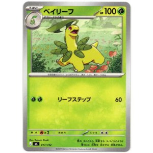 画像: ベイリーフ