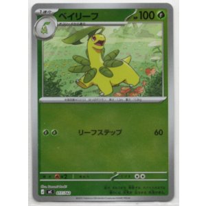 画像: 【ミラー】ベイリーフ