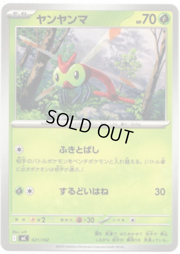 画像1: ヤンヤンマ