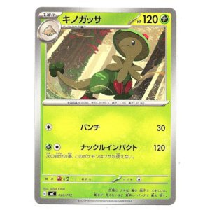 画像: キノガッサ