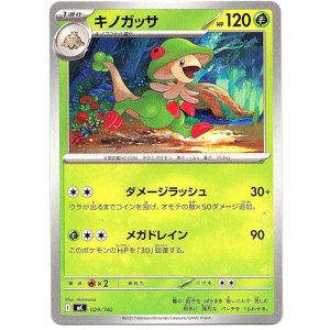 画像: キノガッサ