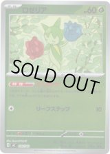 画像: 【ミラー】ロゼリア