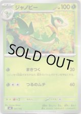 画像: ジャノビー