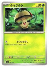 画像: タマゲタケ