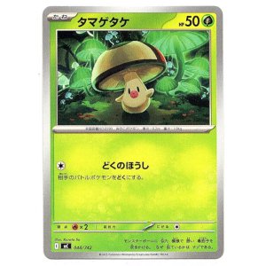 画像: タマゲタケ