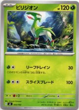 画像: ビリジオン